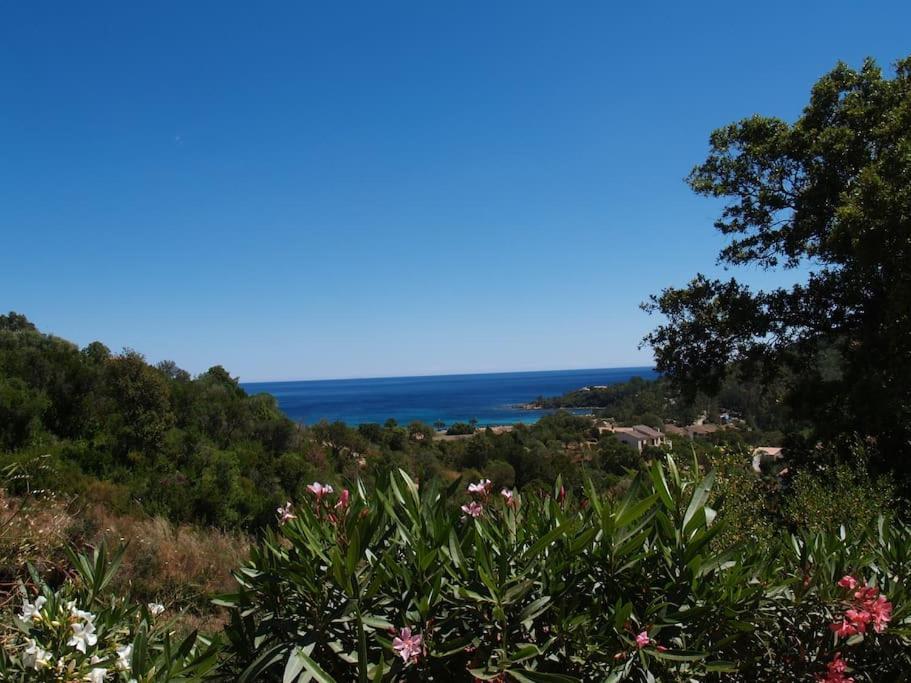 Villa Vista Mare 11 Favone Conca Exteriér fotografie